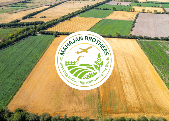 About - Mahajan  Brothers Agro Pvt. Ltd.