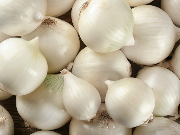 Fresh White Onions – Export Grade