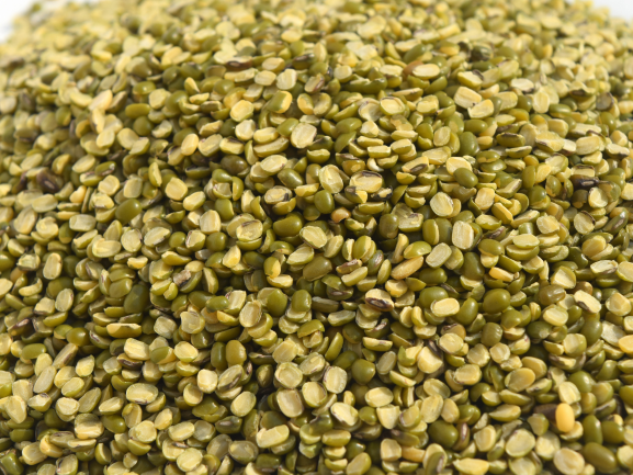 Premium Mango – Export Grade