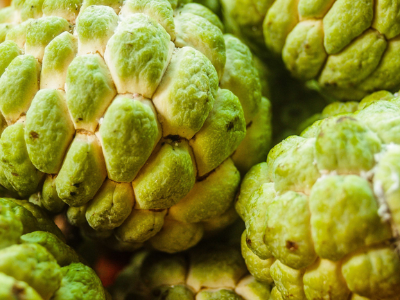 Custard Apple