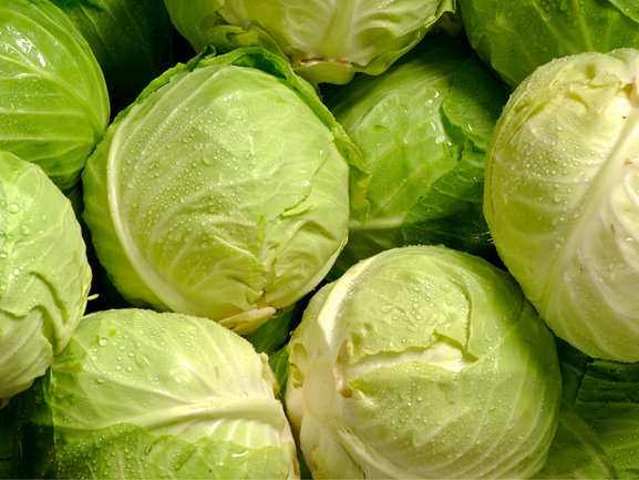 Cabbage