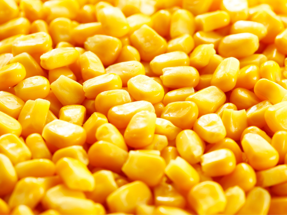 Sweet Corn