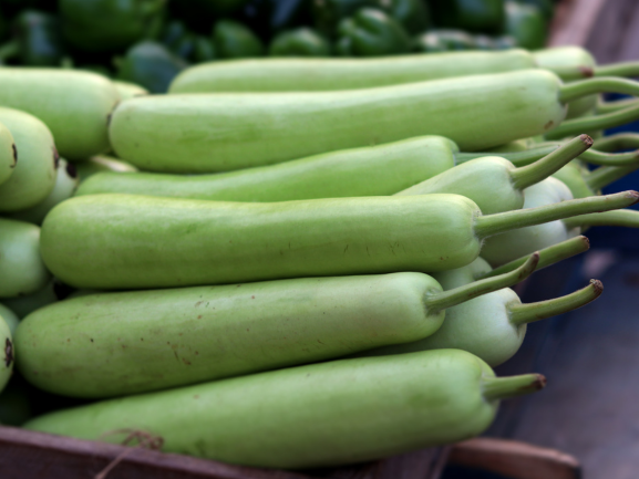 Bottle Gourd