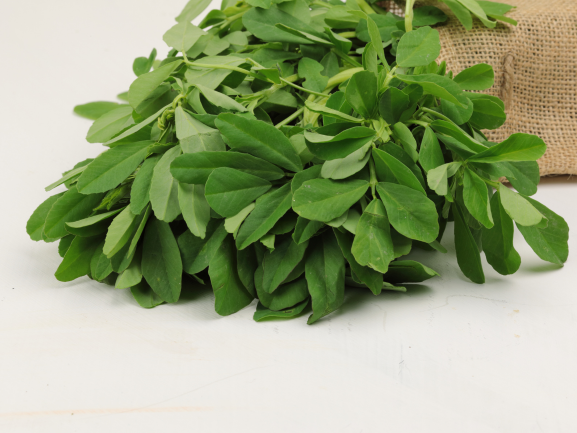 Fenugreek Leaves