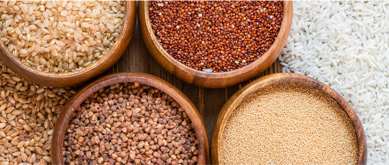 Grains and Pulses Export - Mahajan  Brothers Agro