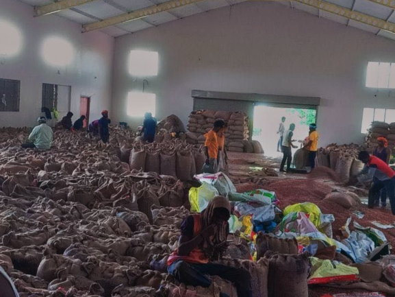 Fresh Red Onions – Export Grade