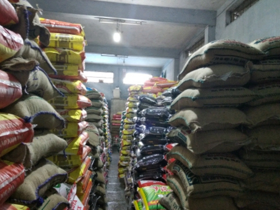 Fresh Red Onions – Export Grade