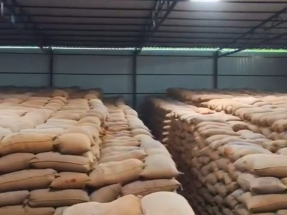 Fresh Red Onions – Export Grade