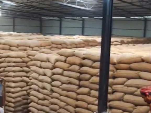 Fresh Red Onions – Export Grade